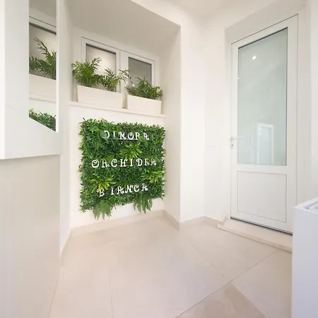 Dimora Orchidea Bianca